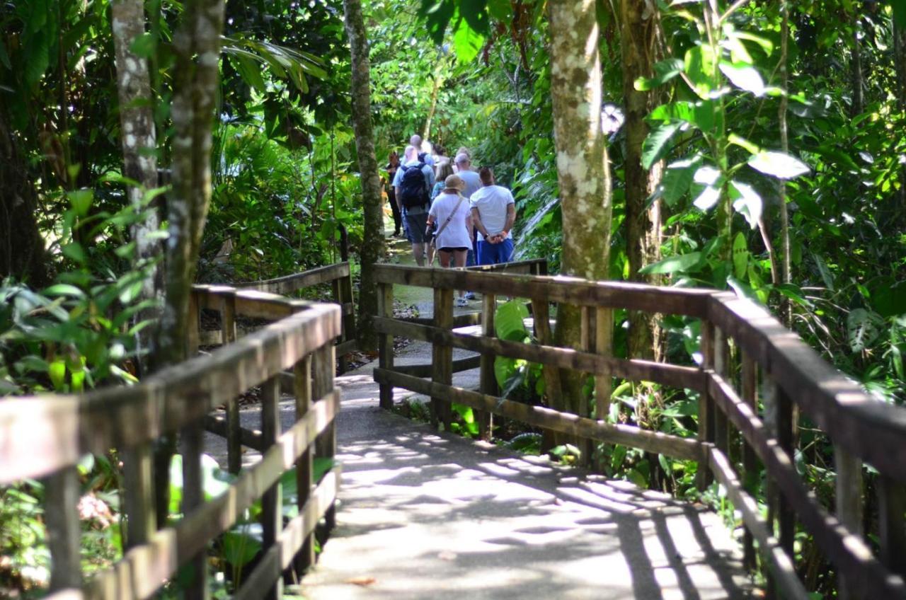 Veragua Rainforest Puerto Limon Esterno foto